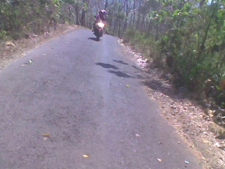 temen ane pake byson sama cewnya