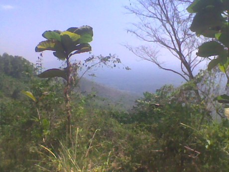 lautnya udah keliatan