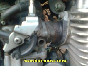 lem (Small)