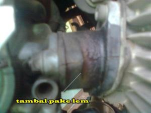 tambal (Small)