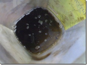 Pertamax1146 (Small)