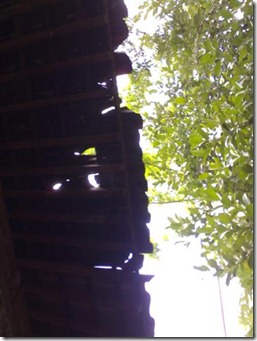 Pertamax1210 (Small)