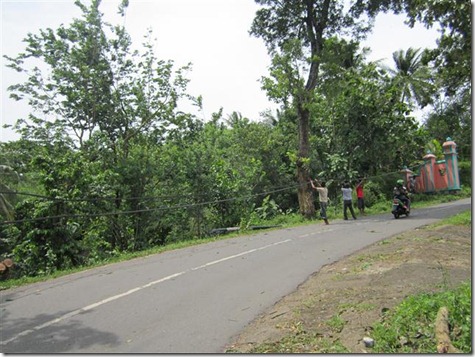 pertamax7 013 (Small)