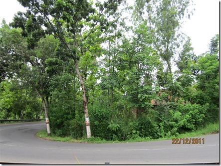 pertamax7 259 (Medium)