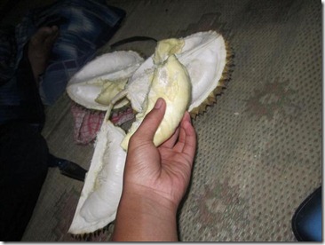 ratu motor pertamax 7 143 (Small)