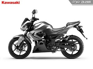 ninja-250-naked.jpg