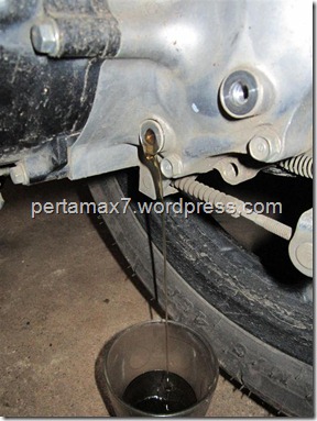 pertamax7.wordpress.com 036 (Medium)