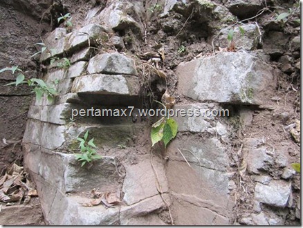 pertamax7.wordpress.com 045 (Medium) (Small)