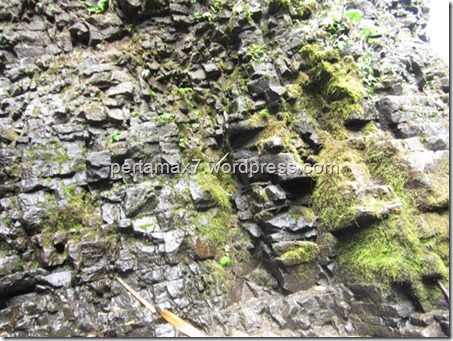 pertamax7.wordpress.com 087 (Medium) (Small)