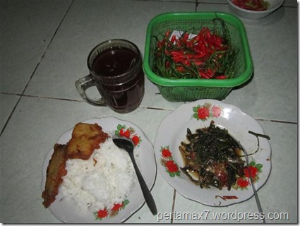 pertamax7.wordpress.com 017 (Medium) (Small)