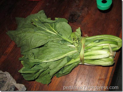 pertamax7.wordpress.com 047 (Medium)