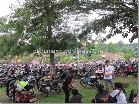 pertamax7.wordpress.com 250 (Small)