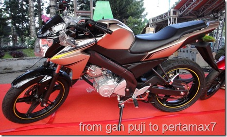 Warna Titanium Gold (Small)