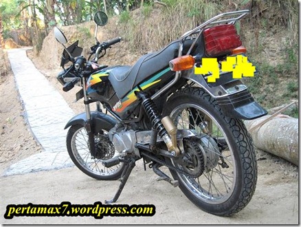 win modip shock breaker tiger revo