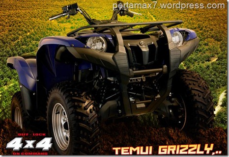 yamaha grizzly 700