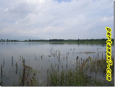 pertamax7.wordpress.com 010 (Small)