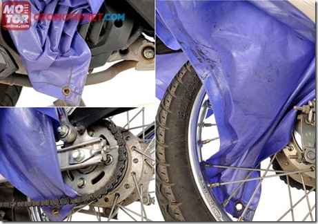 bahaya jass hujan kelelawar