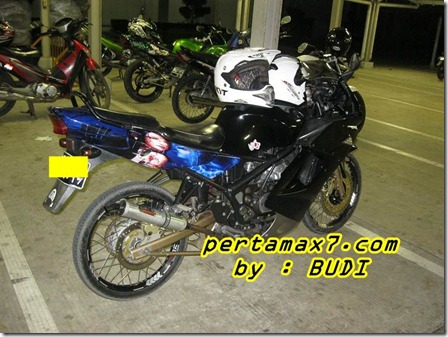 ninja rr ban cacing