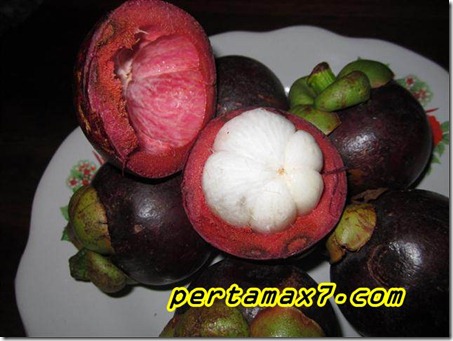 pertamax7.com 007 (Small)