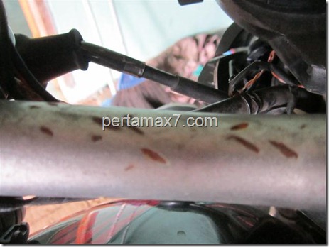 pertamax7.wordpress.com 005 (Small)