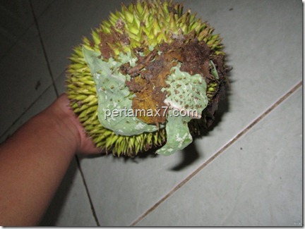 pertamax7.com 065 (Small)