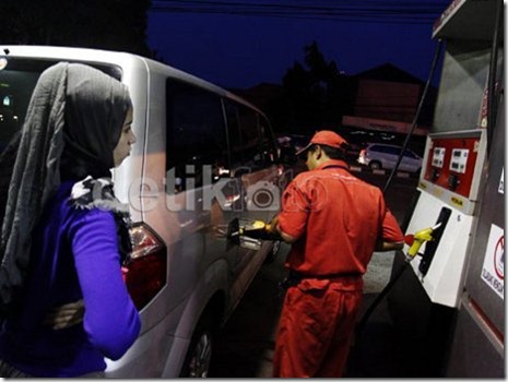 alphard minum premium