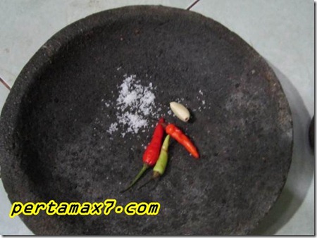 pertamax7.com 056 (Small)