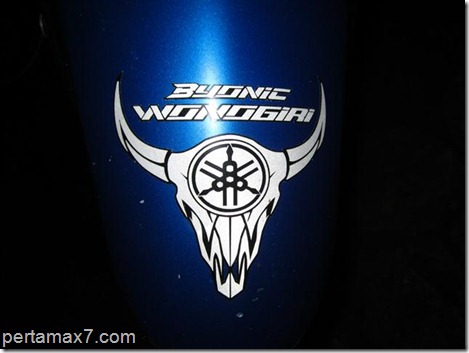 byonic wonogiri 005 (Small)