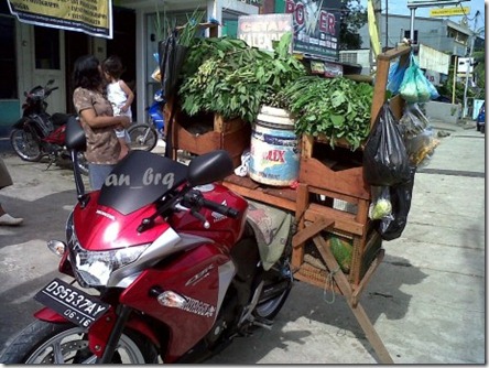 cbr250r jualan sayur
