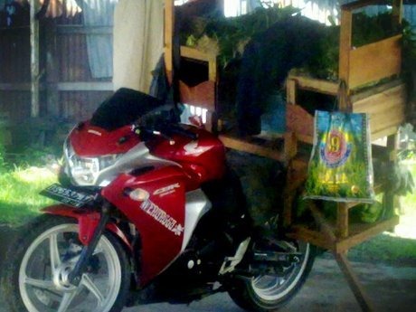honda-cbr250r-jualan-sayur-1.jpg