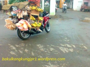 honda-cbr250r-jualan-sayur.jpg
