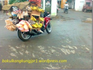 honda-cbr250r-jualan-sayur_thumb.jpg