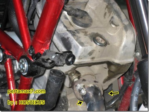 exhaust honda TIGER on honda CB150R streetfire