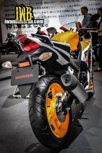 all-new-honda-CBR250R-Dual-Headlamp-11.jpg