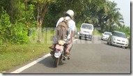 bajaj-pulsar-375-faired-10-Small_thumb.jpg