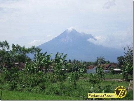 pertamax7.com 013 (Small)