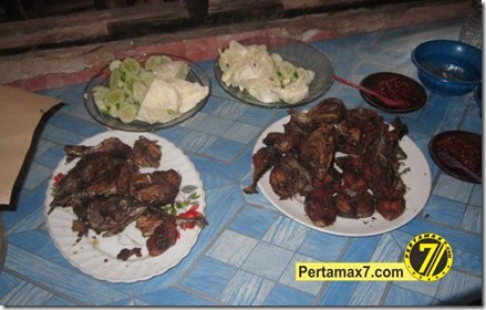 pertamax7.com 078 (Small)