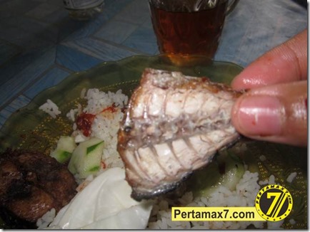 pertamax7.com 088 (Small)