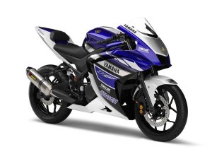 yamaha-R25-japan.jpg