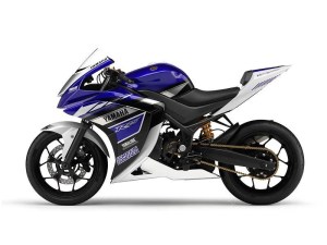 yamaha-R25-side.jpg