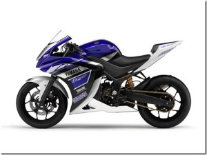 yamaha-R25-side_thumb.jpg