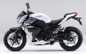 kawasaki Z250 2014&nbsp;1