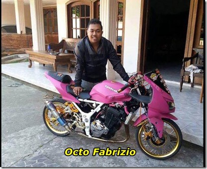 ninja 250 ban cacing