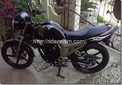 yamaha scorpio black gold 10