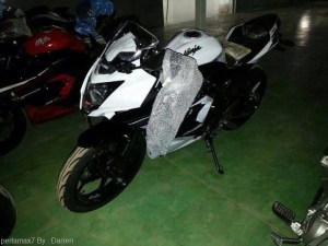 Kawasaki-Ninja-250-RR-mono.jpg