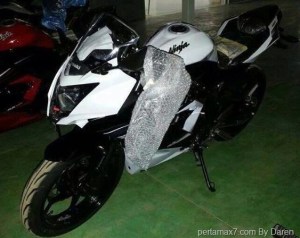 Kawasaki-Ninja-250-RR-mono.jpg
