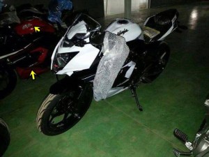 Kawasaki-Ninja-250-RR-mono.jpg