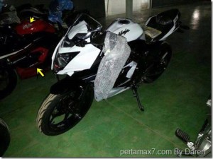 Kawasaki-Ninja-250-RR-mono_thumb.jpg