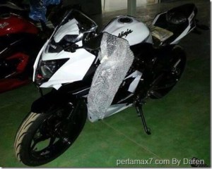 Kawasaki-Ninja-250-RR-mono_thumb.jpg