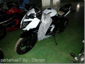 Kawasaki-Ninja-250-RR-mono_thumb.jpg